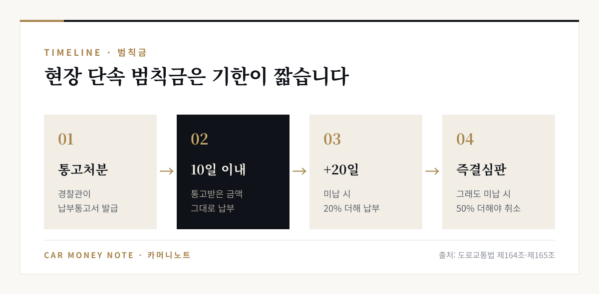 범칙금 처리 순서: 통고처분, 10일 이내 납부, 미납 시 다음 20일 안에 20% 더해 납부, 그래도 미납 시 즉결심판이 청구되며 50%를 더해 내야 취소