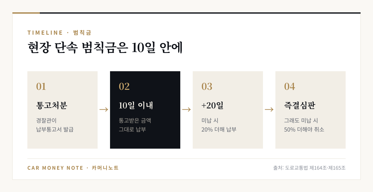범칙금 처리 순서: 통고처분, 10일 이내 납부, 미납 시 다음 20일 안에 20% 더해 납부, 그래도 미납 시 즉결심판 청구되고 50% 더해 내야 취소
