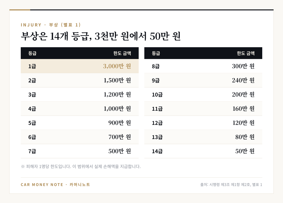 시행령 별표 1 부상 등급별 책임보험 한도: 1급 3,000만 원, 2급 1,500만 원, 3급 1,200만 원, 4급 1,000만 원, 5급 900만 원, 6급 700만 원, 7급 500만 원, 8급 300만 원, 9급 240만 원, 10급 200만 원, 11급 160만 원, 12급 120만 원, 13급 80만 원, 14급 50만 원
