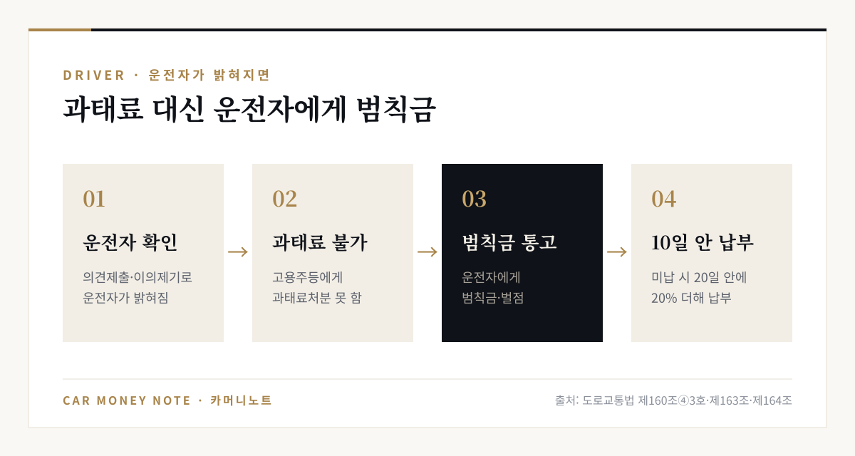 운전자가 밝혀진 경우의 흐름: 의견제출이나 이의제기로 운전자 확인, 고용주등에게 과태료처분 불가, 운전자에게 범칙금과 벌점 통고, 10일 안에 납부하고 미납 시 20일 안에 20% 더해 납부