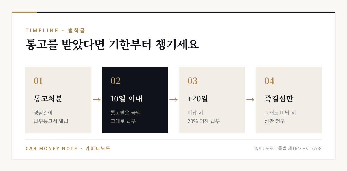 범칙금 처리 순서: 통고처분, 10일 이내 납부, 미납 시 다음 날부터 20일 안에 20% 더해 납부, 그래도 미납 시 즉결심판 청구