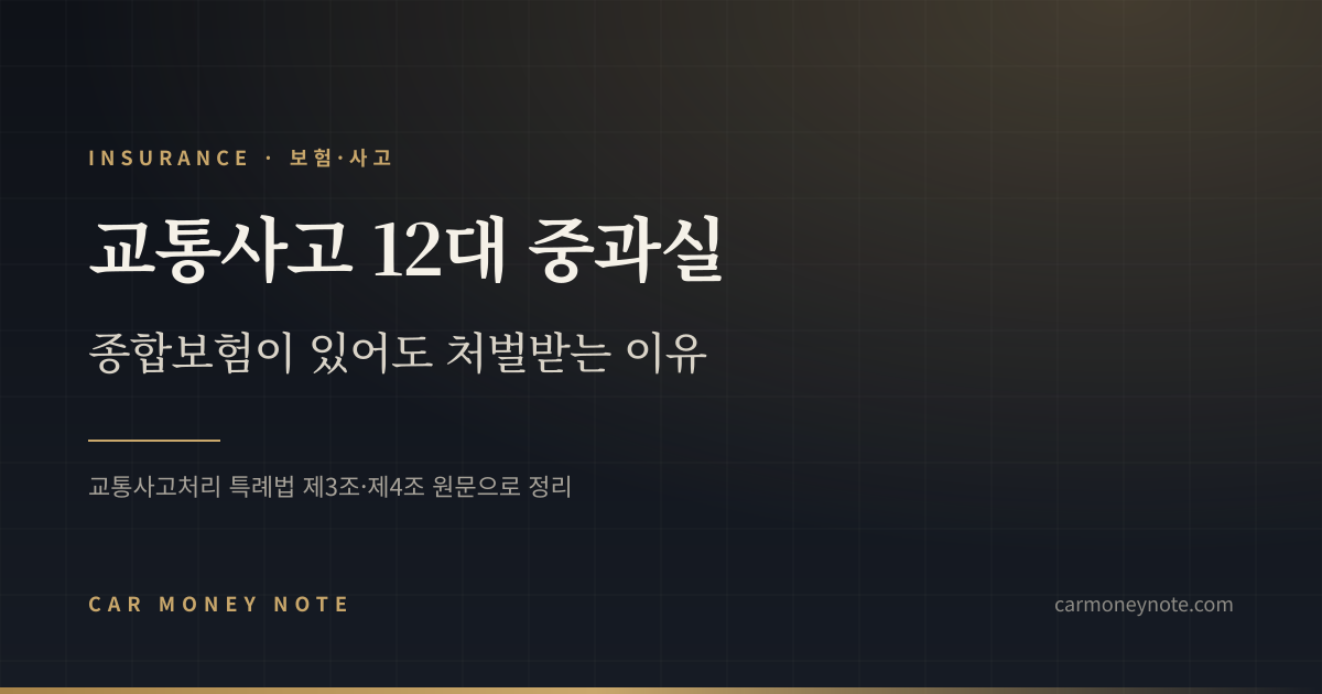 교통사고 12대 중과실, 종합보험이 있어도 처벌받는 이유를 교통사고처리 특례법 원문으로 정리한 카머니노트 표지
