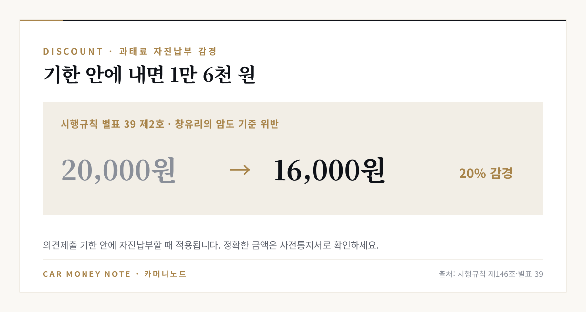 시행규칙 별표 39 제2호 창유리의 암도 기준 위반 과태료 2만 원이 자진납부 시 20퍼센트 감경되어 1만 6천 원